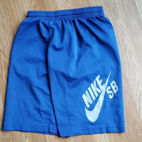 Nike Other - Nike SB Shorts Blue